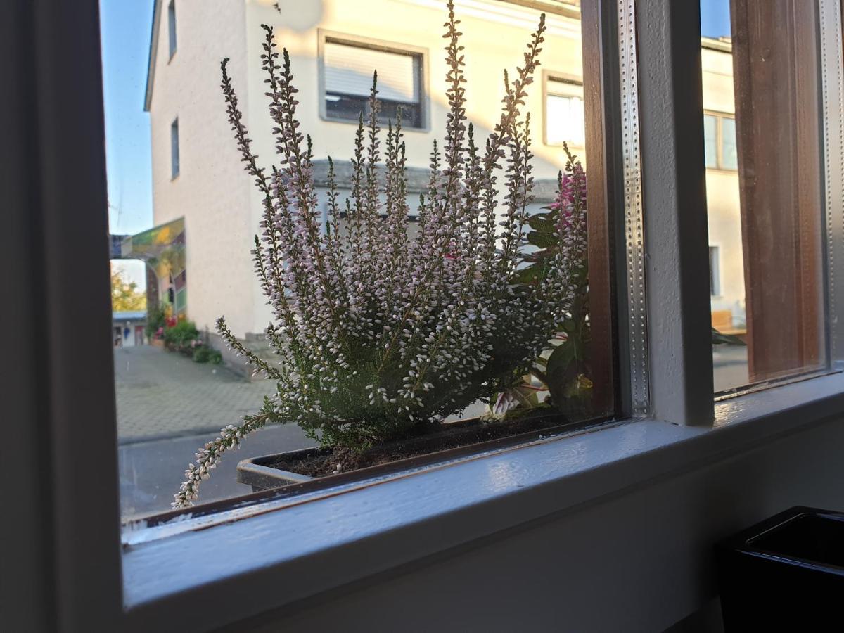 Duex-Hof Apartment Fachwerkhaus Bornheim  Eksteriør bilde